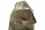 Smoky Quartz Crystal Cluster on Metal Stand - Brazil #219126-5